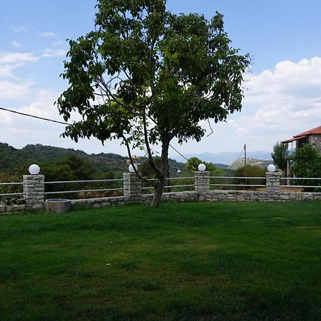 Miterra Cozy Apartments Ανδρίτσαινα Εξωτερικό φωτογραφία